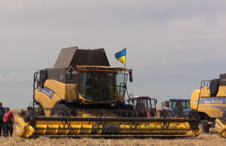 На Луганщині зібрали близько 30% від усіх посівних озимої пшениці