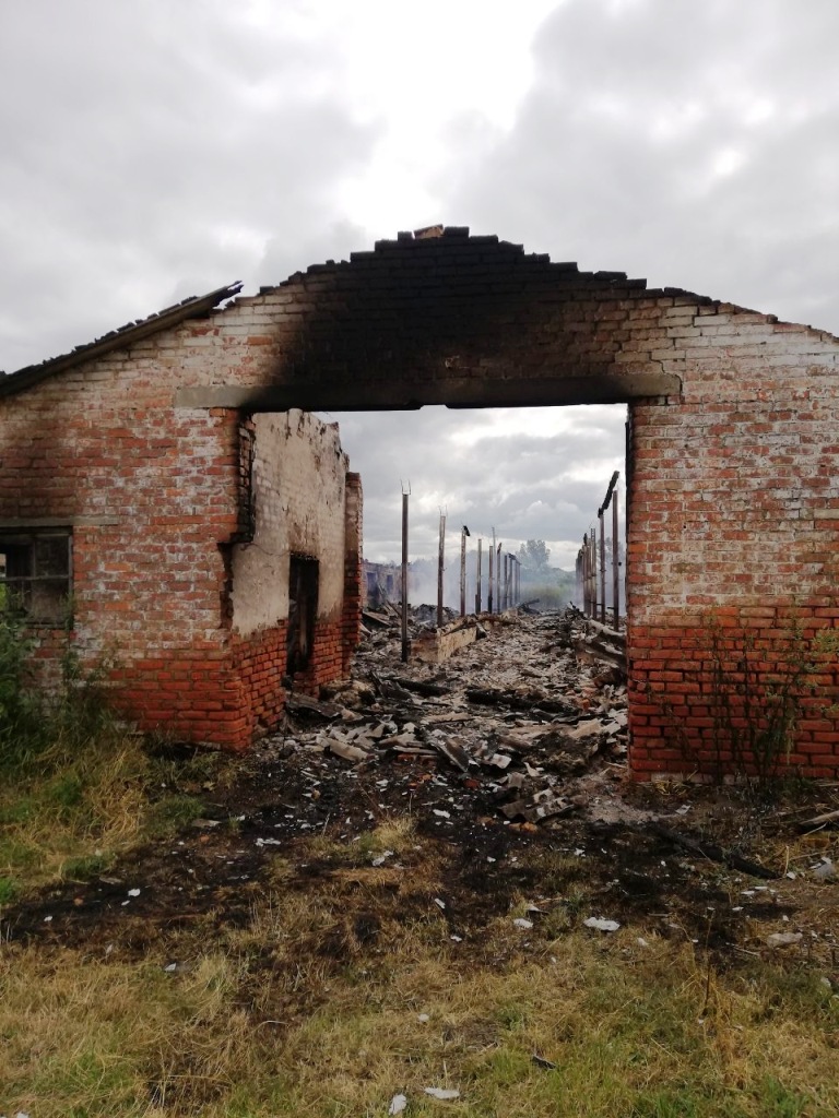 На Житомирщині під час пожежі на фермі загинули щонайменше 30 козенят