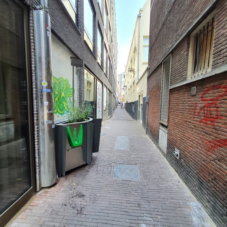 В Амстердамі встановили пісуари у вигляді кашпо: місцева влада сподівається вирішити проблему справляння нужди на вулиці