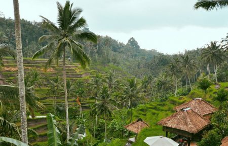 Бали не будет принимать иностранных туристов до конца 2020-го