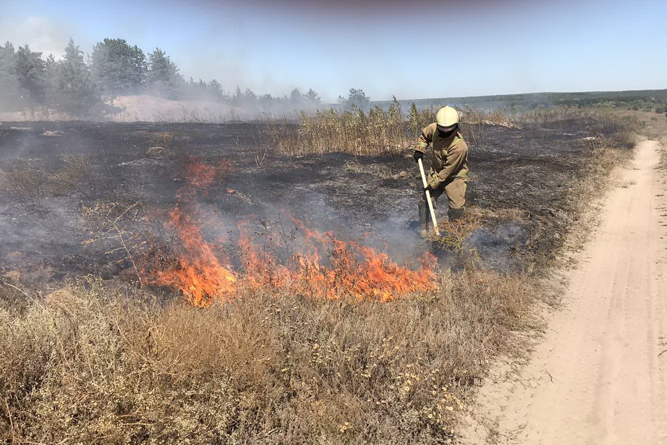 На Харківщині спалахнула масштабна пожежа