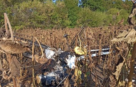 На Сумщині розбився літак: поліція відкрила кримінальне провадження