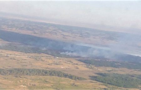 Пожар на территории лесничества в Херсонской области локализован —  ГСЧС