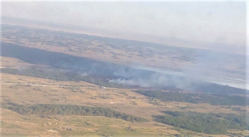 Пожар на территории лесничества в Херсонской области локализован —  ГСЧС
