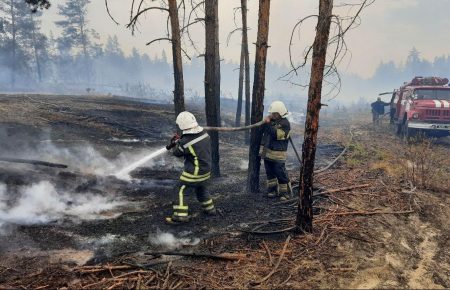 «Идет процесс подготовки документов» — Каплин о компенсации пострадавшим от пожаров на Луганщине