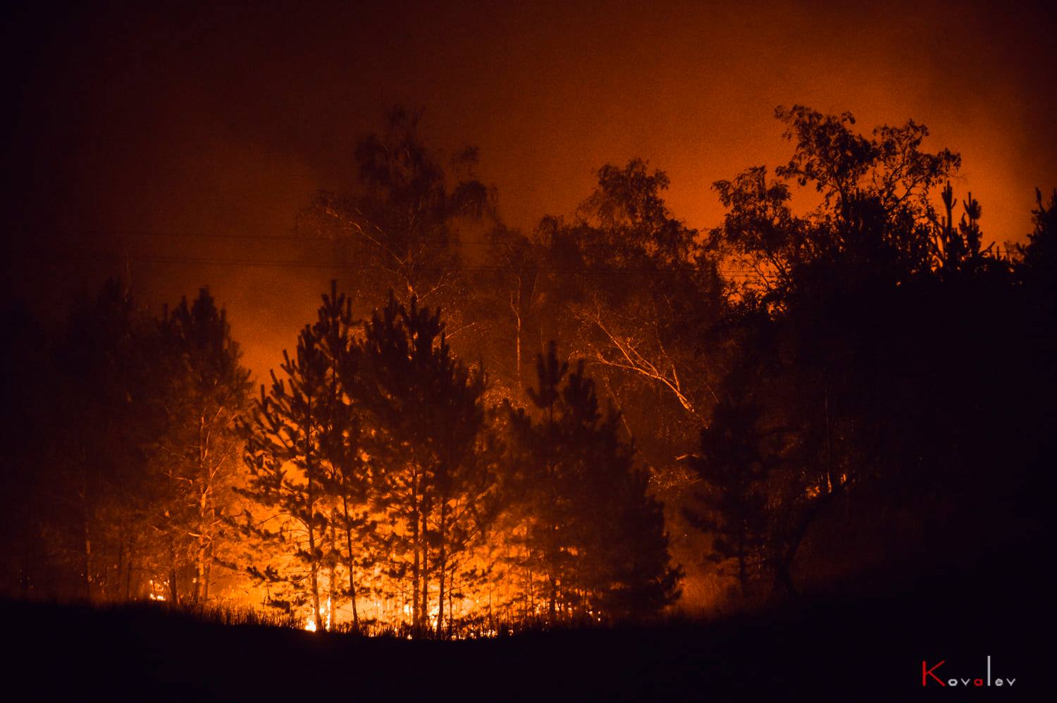 На Луганщині рятувальники продовжують гасіння 64 осередків пожеж — Чалий