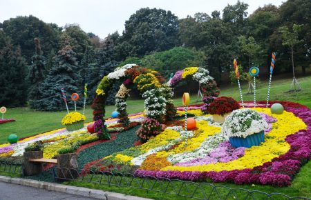 В Киеве открылась ежегодная выставка хризантем — использовали 30 тыс. цветов (фото)