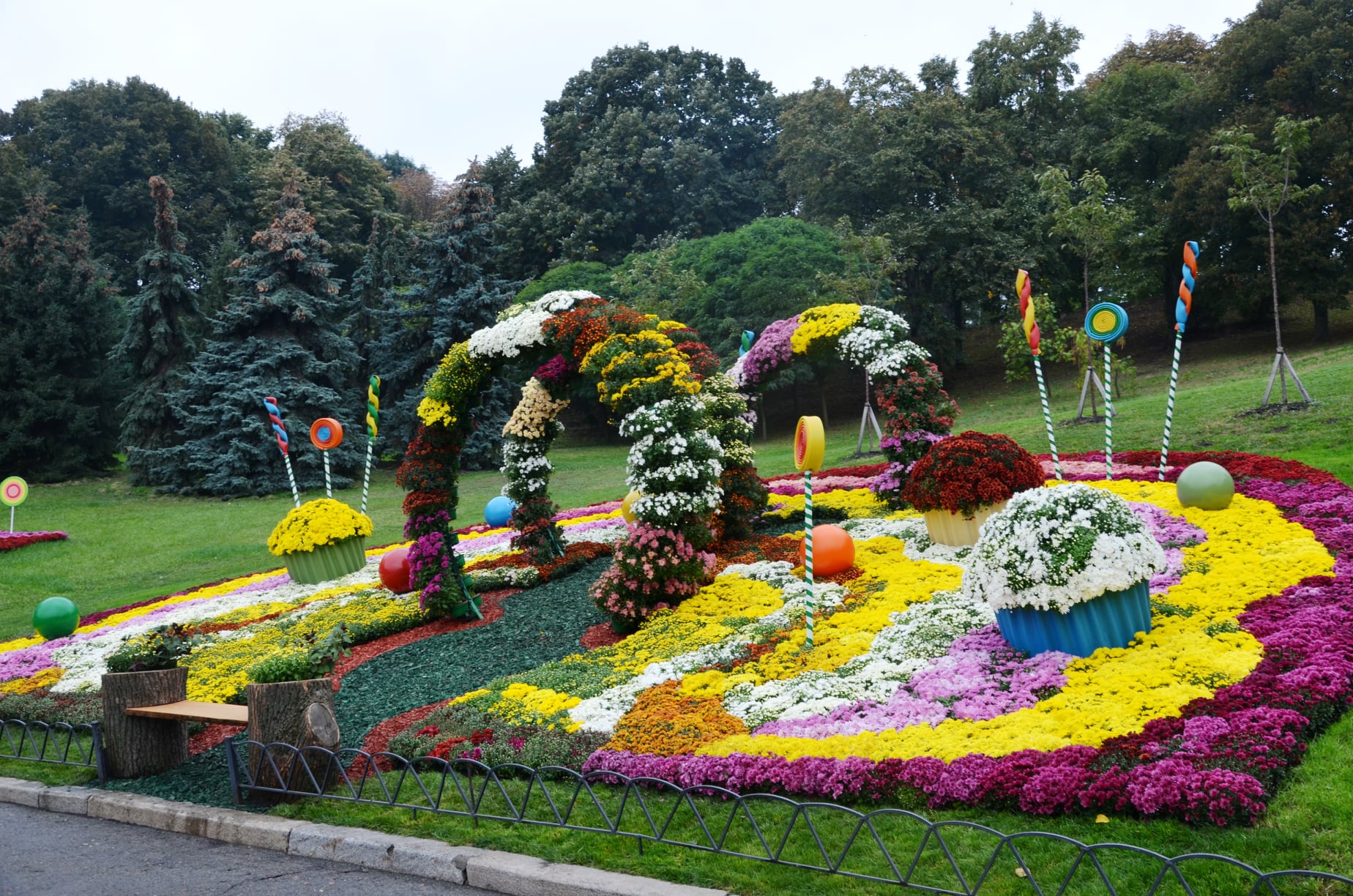 В Киеве открылась ежегодная выставка хризантем — использовали 30 тыс. цветов (фото)