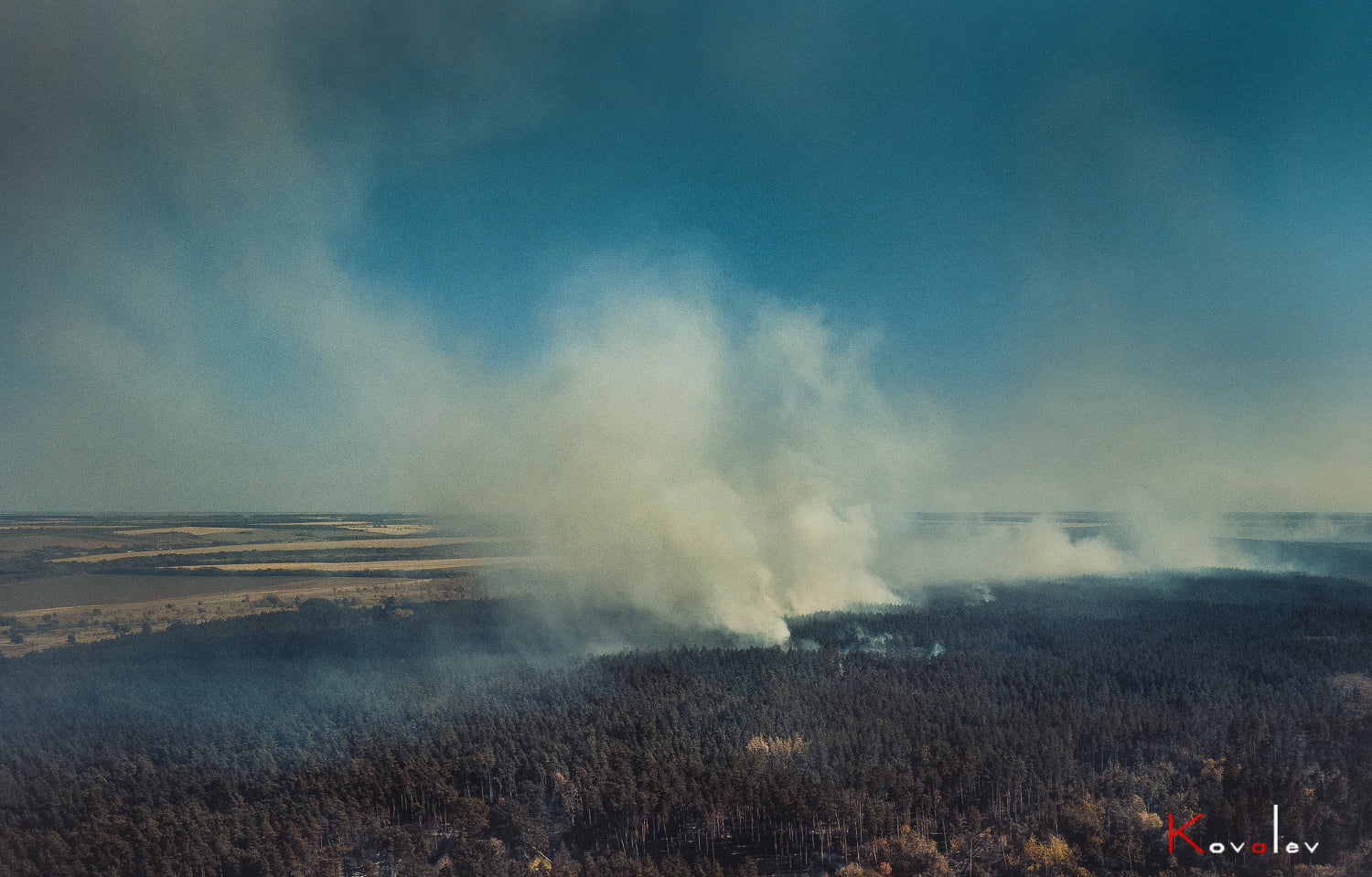 Пожежі на Луганщині: для відновлення лісів потрібно 15-20 років