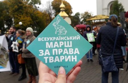 Як Всеукраїнський марш за права тварин провели онлайн