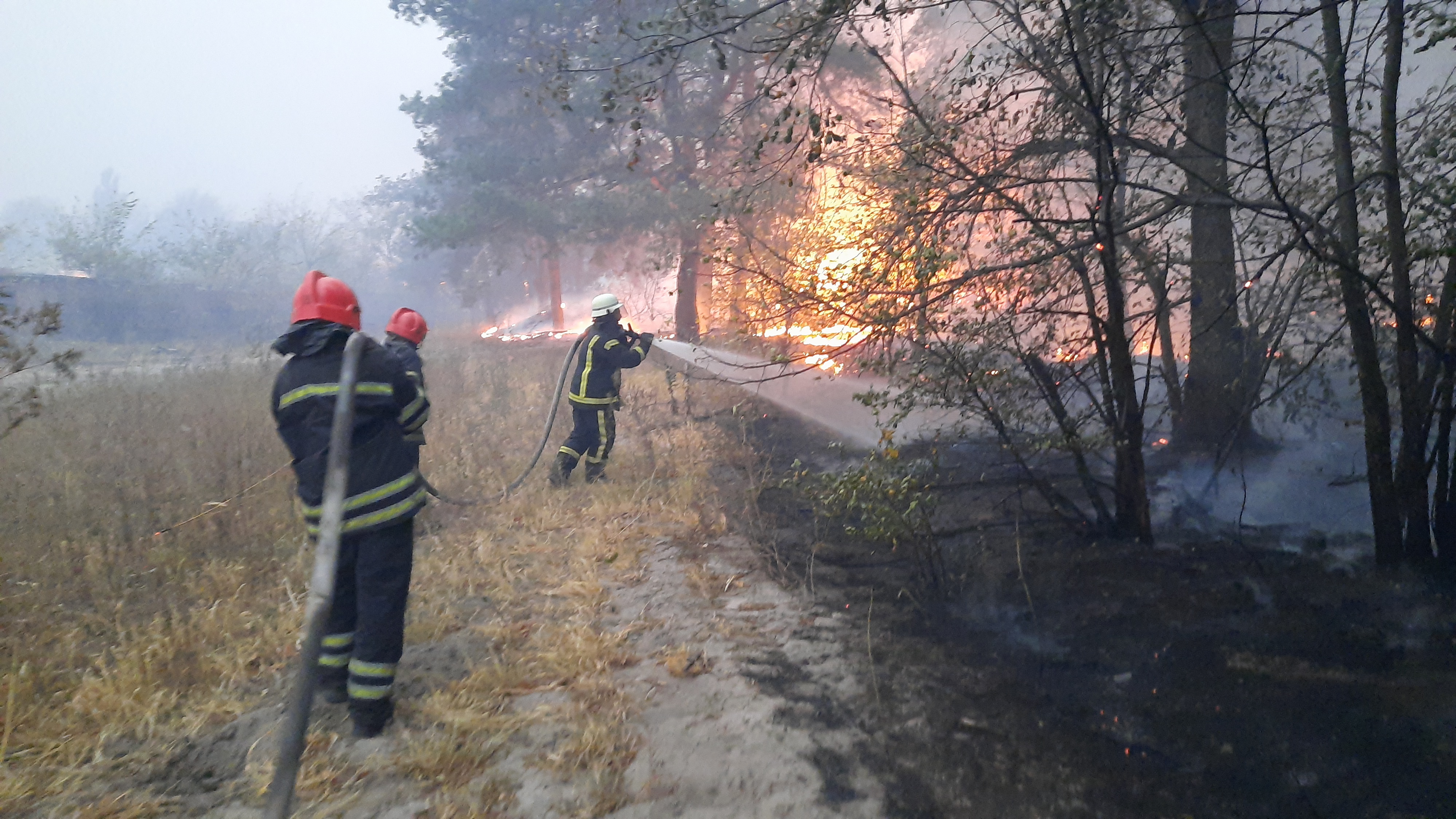 Пожежі на Луганщині: Кількість жертв збільшилась до 9