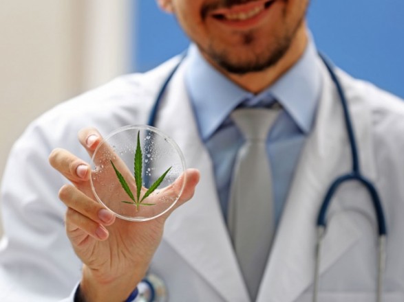 «Для облегчения боли пациентов» — у Зеленского рассказали о необходимости легализации каннабиса