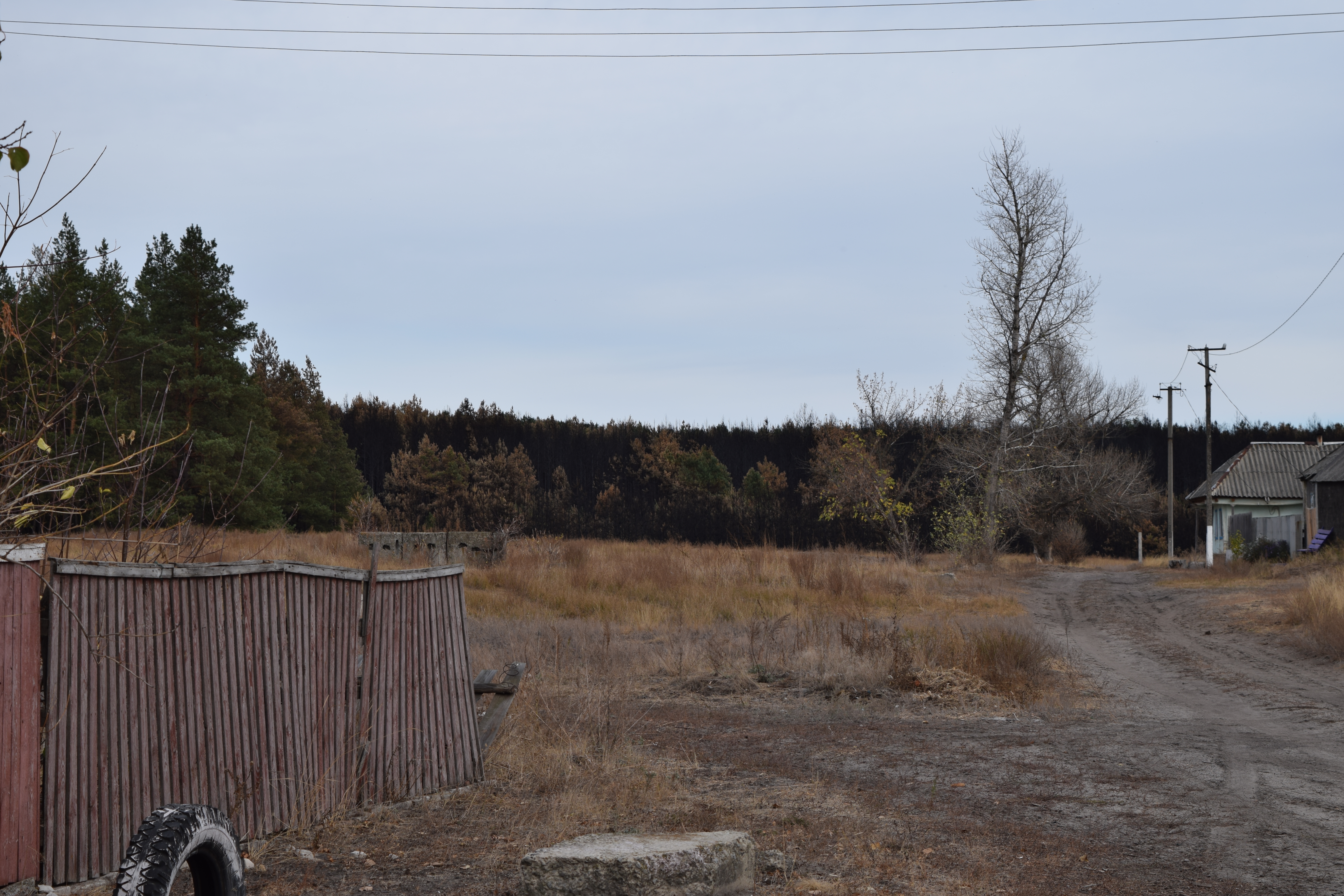 Фото - Пылевые суховеи и сажевые бури: Гослесагентство о возможных последствиях пожаров на Луганщине | Новости на Громадськом радио
