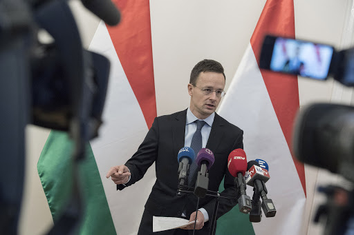 Я не уверен, что венгры осознают серьезность ситуации — Тужанский об агитации венгерских политиков в Закарпатье