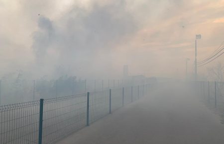 Пожары на Луганщине: огонь распространился до КПВВ «Станица Луганская», повреждена инфраструктура (видео)
