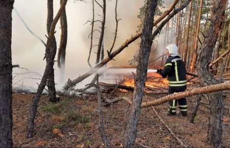 На Луганщине ликвидировали все пожары — ГСЧС