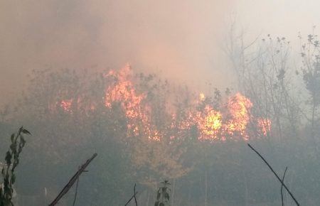 Слідство розглядає чотири основні версії виникнення масштабних пожеж на Луганщині — Офіс генпрокурора