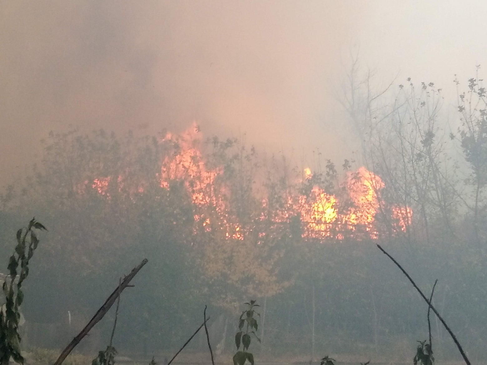 Слідство розглядає чотири основні версії виникнення масштабних пожеж на Луганщині — Офіс генпрокурора