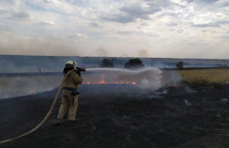 Иностранные специалисты помогут восстановить леса Луганщины, пострадавшие от пожаров — Сергей Гайдай