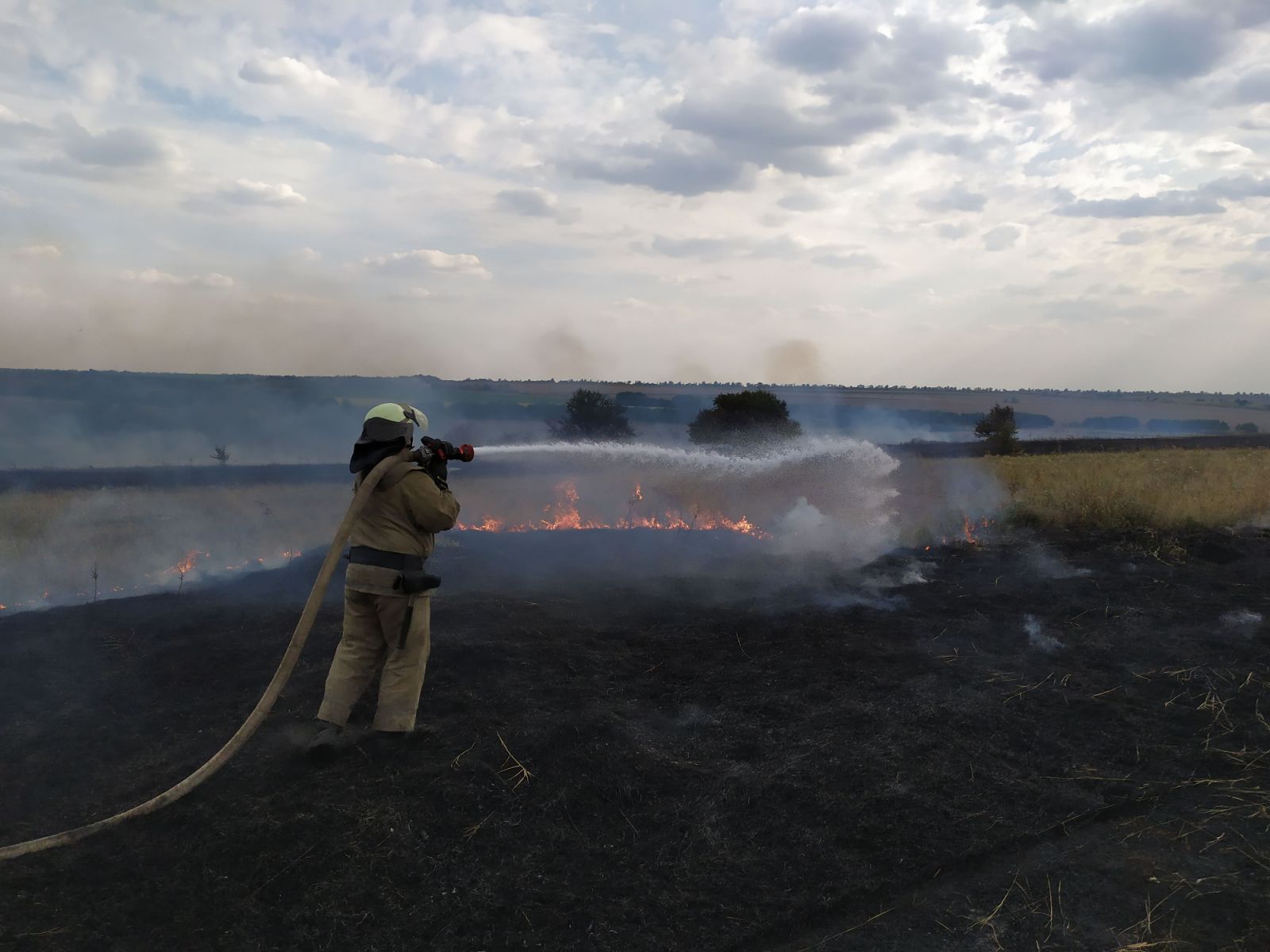 Пожежі на Луганщині: гасять 6 осередків, 5 із них локалізували