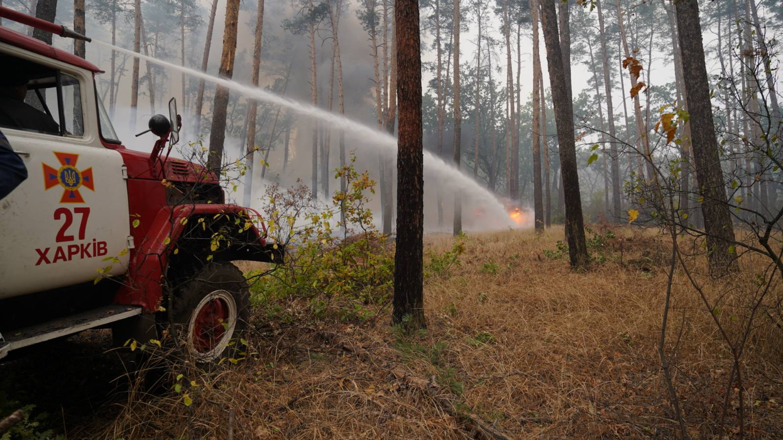 У Луганській області ліквідували найбільший осередок пожежі