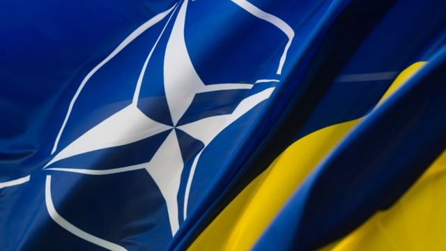 Чернев об Украине и НАТО: Между получением ПДЧ и членством пройдет не более 2-3 лет