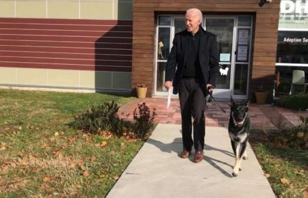 Байден планирует переехать в Белый дом вместе с двумя своими собаками