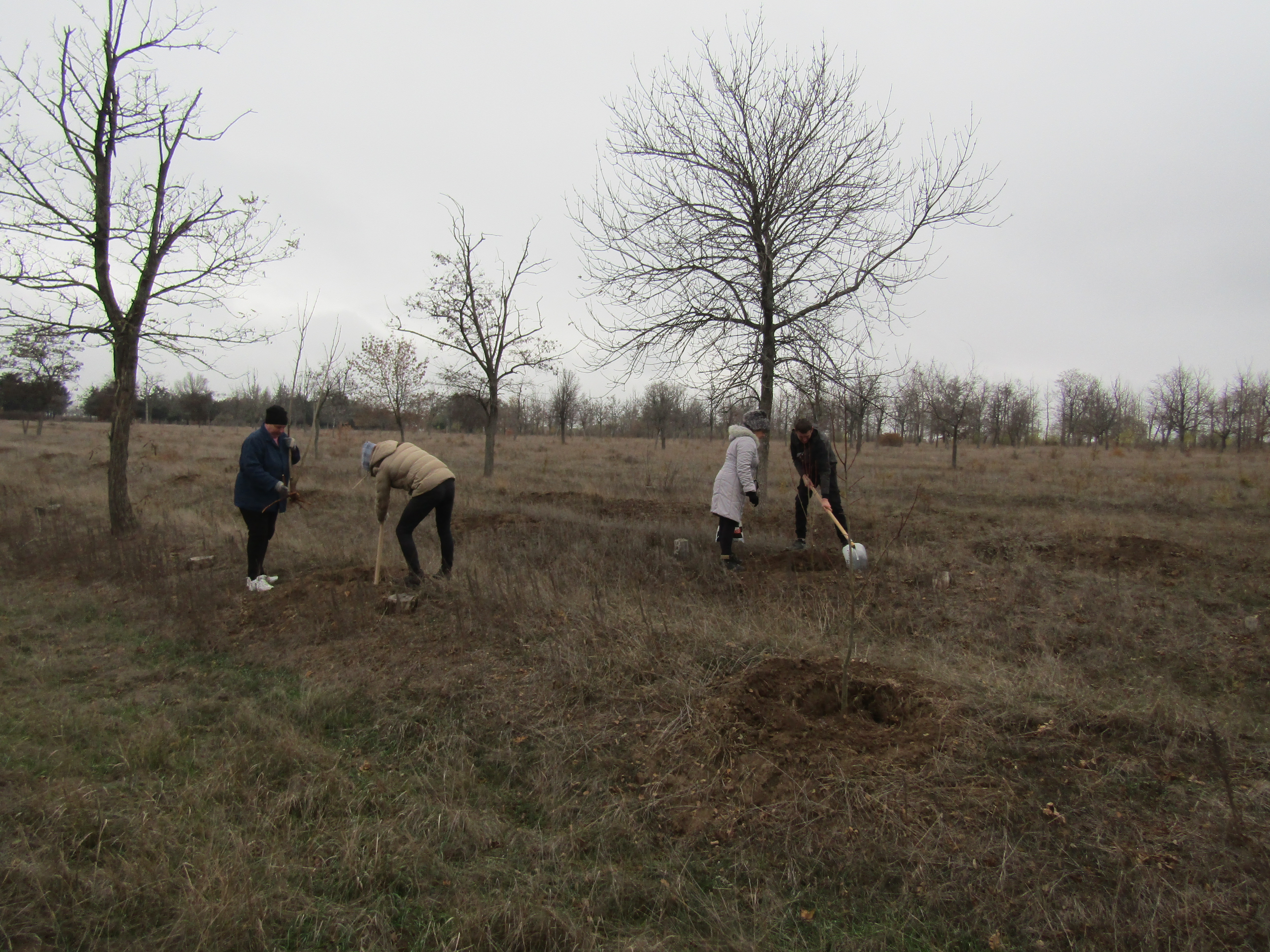 У Миколаєві місцеві жителі посадили 400 дерев, які придбали за рахунок благодійних внесків