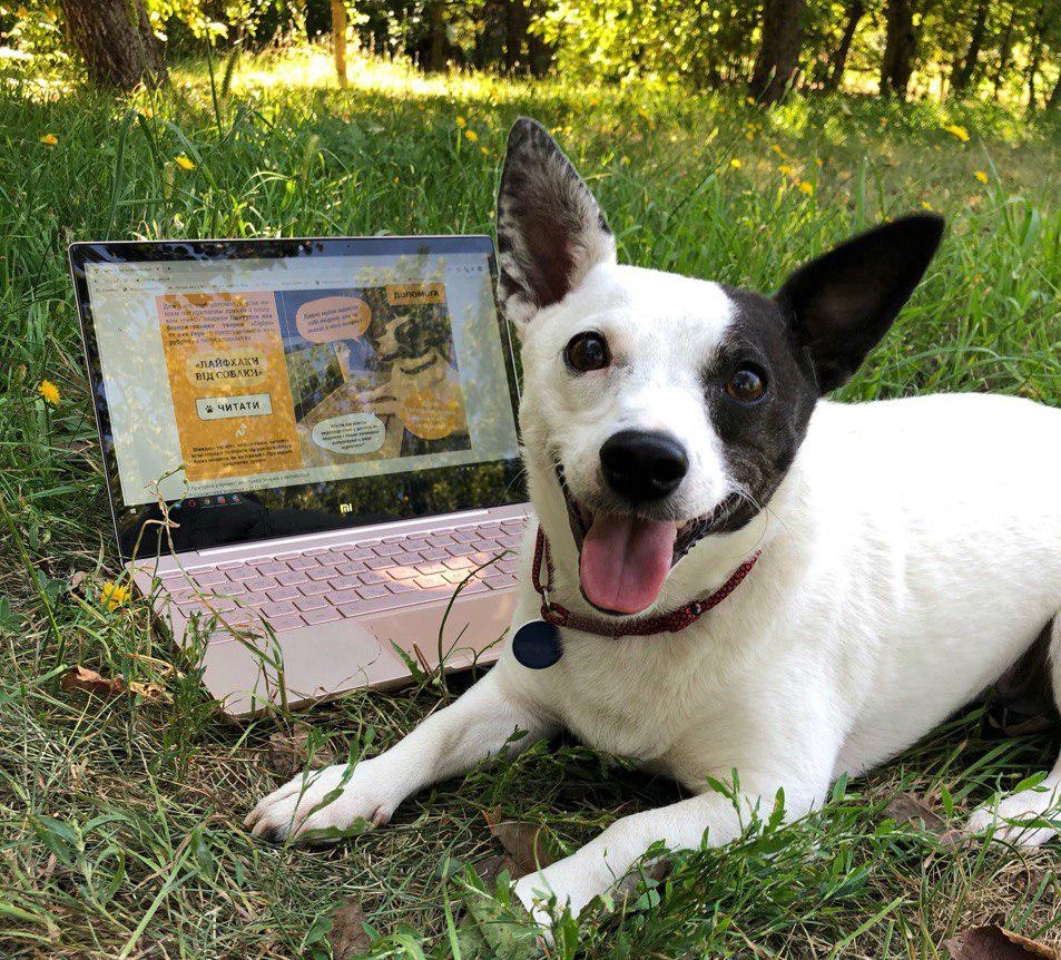 Книга, яку написав пес: волонтери збирають гроші на друк, щоб змінити культуру ставлення до тварин