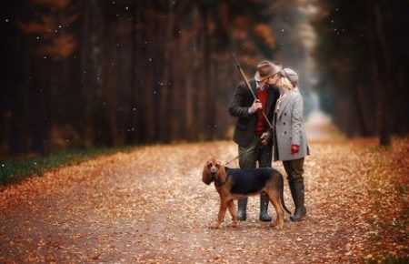 У чоловіка з собакою більше шансів на побачення — дослідження