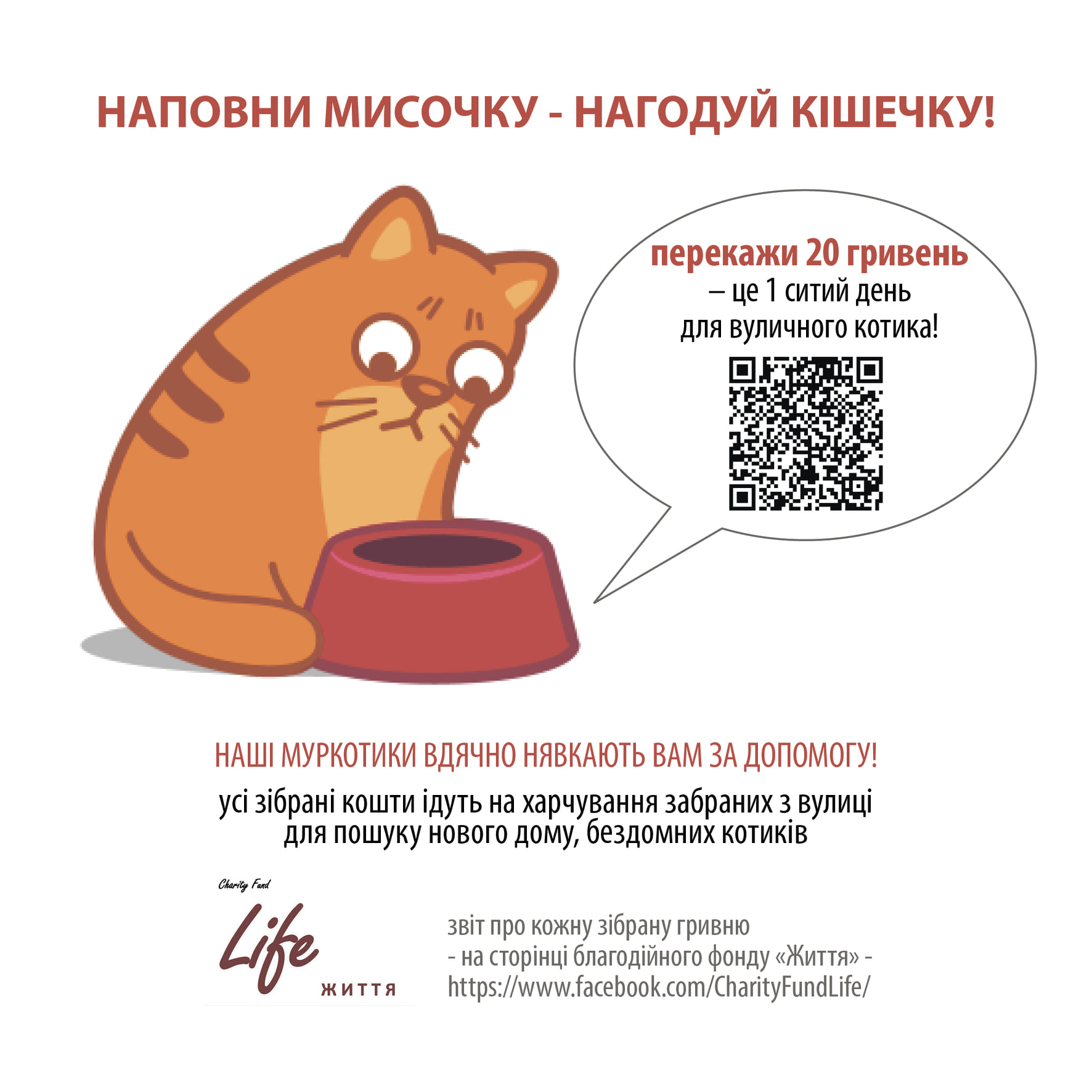 У черкаських кав'ярнях за допомогою QR-коду можна перерахувати гроші на корм котам