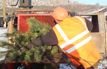 В Хмельницком новогодние елки перерабатывают в мульчу и бесплатно раздают желающим