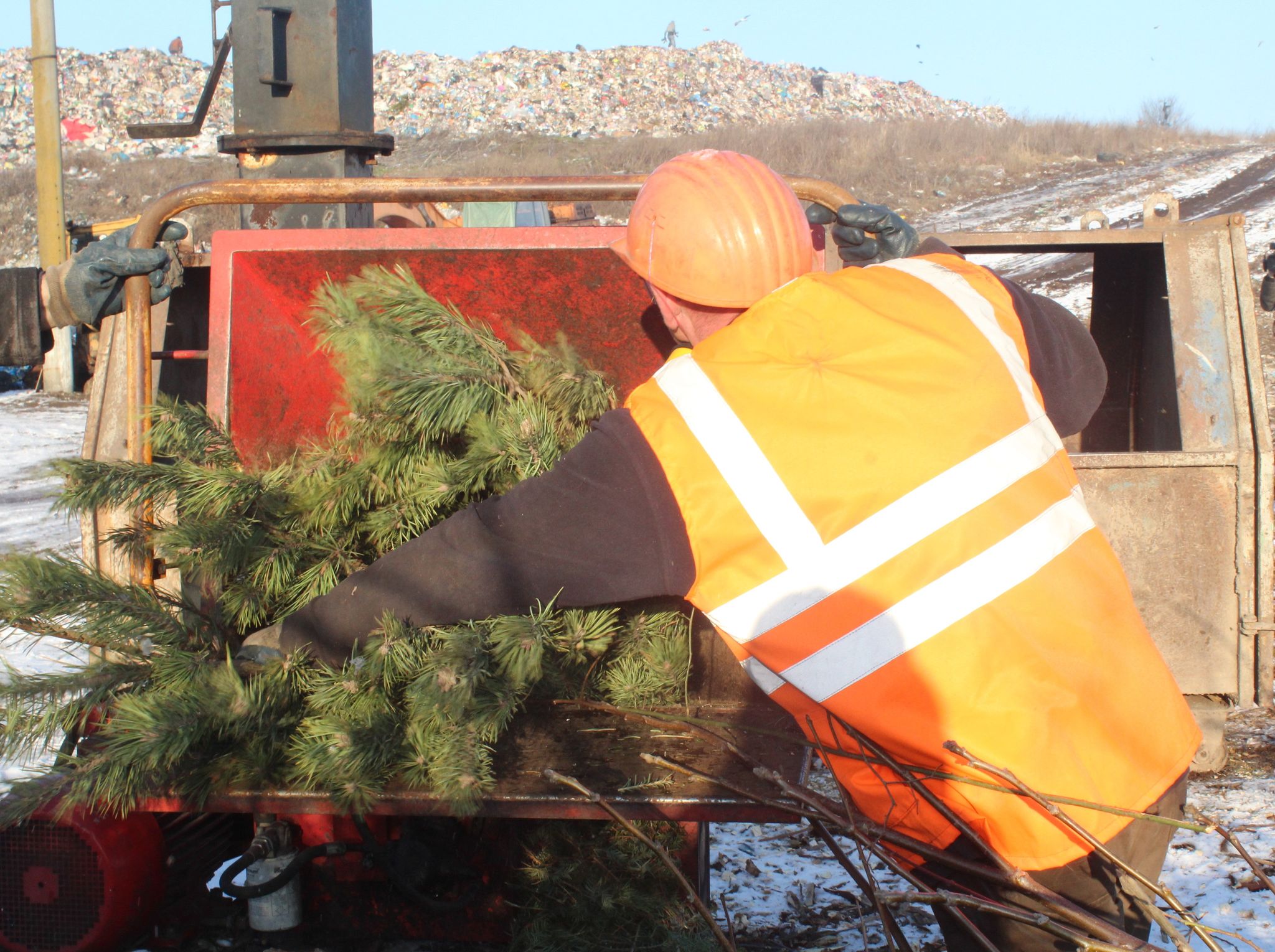 В Хмельницком новогодние елки перерабатывают в мульчу и бесплатно раздают желающим