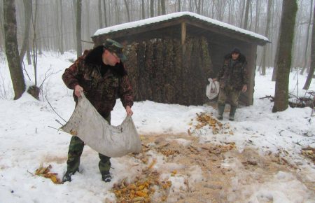 300 солонців та 30 годівниць: як лісівники на Черкащині взимку підгодовують диких тварин