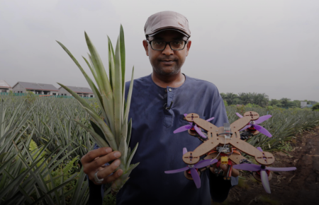 Науковці з Малайзії перетворюють відходи з ананаса на одноразові частини безпілотників