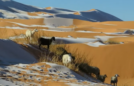 У Сахарі випав сніг (відео)