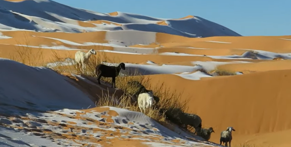 У Сахарі випав сніг (відео)