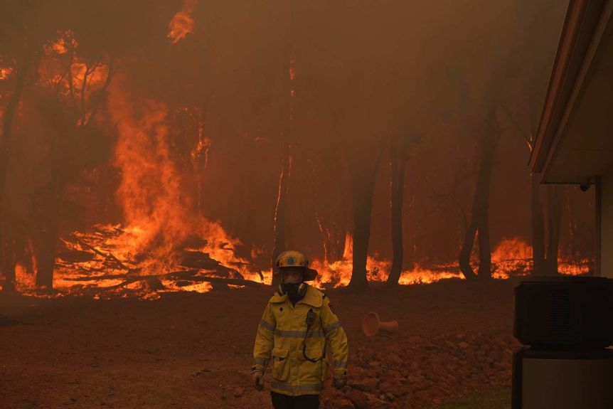 В Австралії майже тиждень вирують пожежі: сгоріли тисячі гектарів лісу та понад 80 будинків