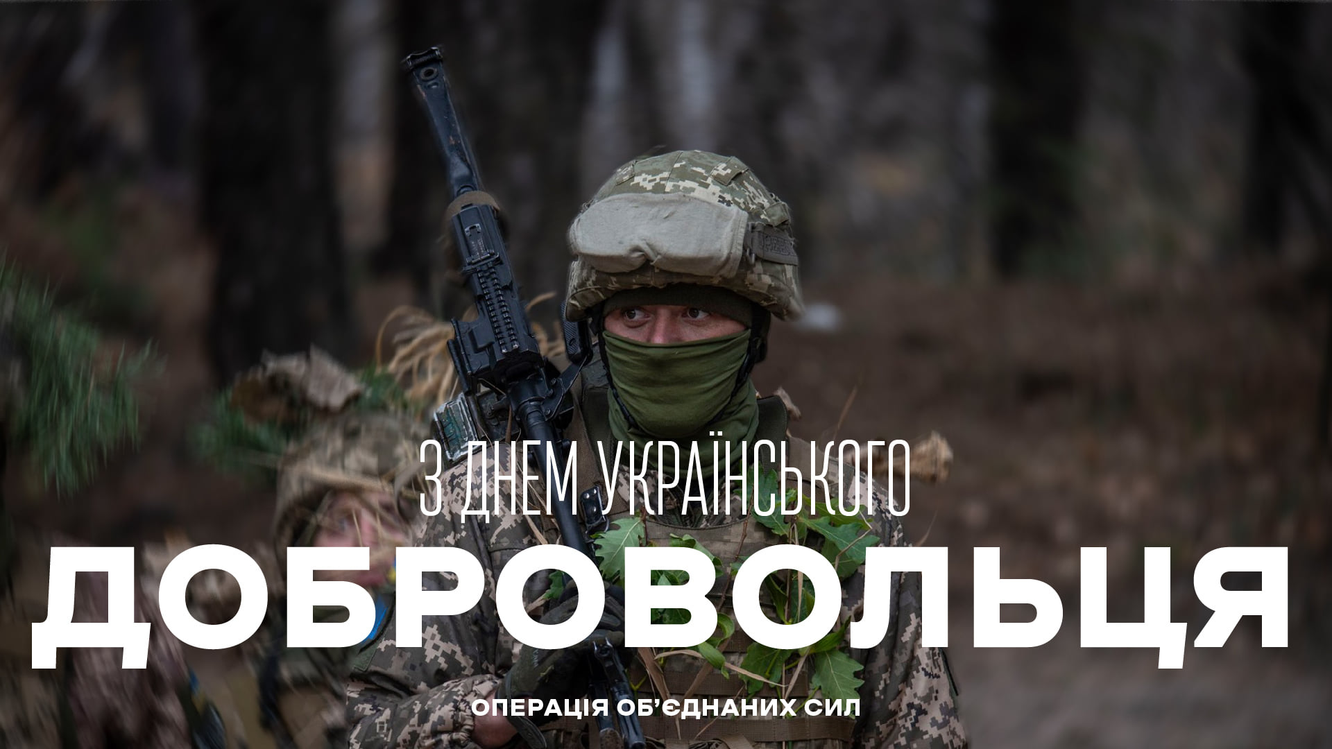 За роки російської агресії Україну захищали майже 40 добробатів — командувач Об'єднаних сил