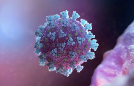 Не збільшує здатність проникнення вірусу в клітину – ЦГЗ про нові мутації коронавірусу, які виявили в Україні