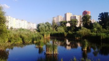 Озеро Утиное в Киеве снова хотят засыпать, нас ждет экологическое гетто — правозащитница