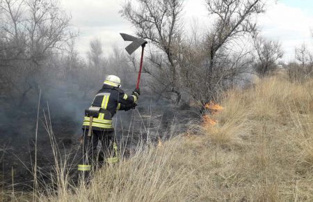 На Днепропетровщине пожарные спасли совенка из горящего кустарника — ГСЧС (фото) 