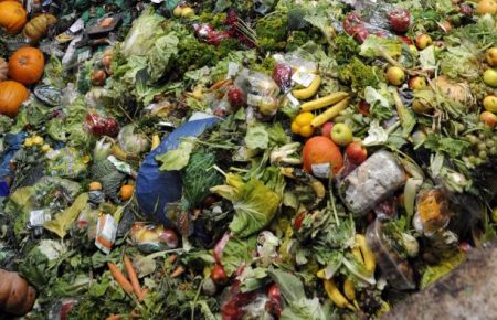 В 2019 году в мире выбросили 931 млн тонн пищевых продуктов, это 17% всей доступной пищи — ООН 