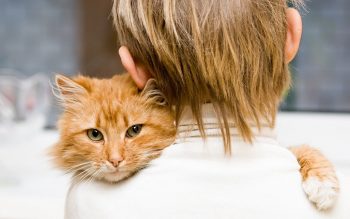 У котів може бути «стокгольмський синдром» — ветеринарна лікарка