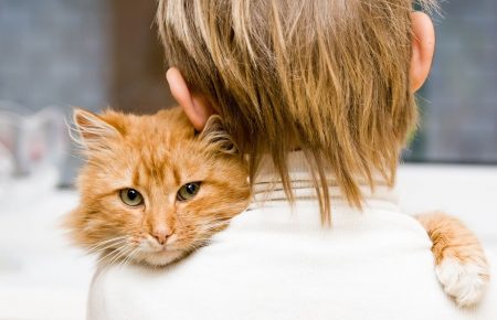 У котів може бути «стокгольмський синдром» — ветеринарна лікарка