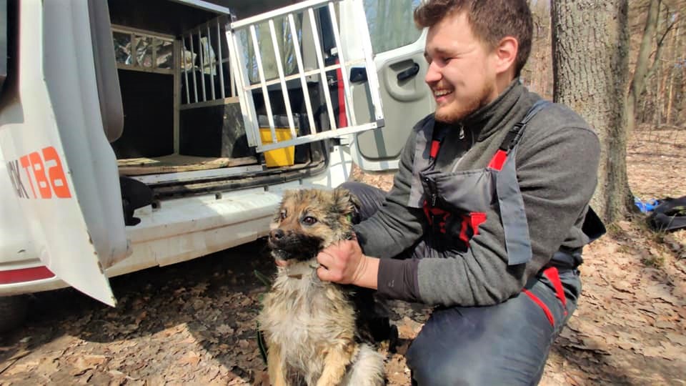 Просидела на льдине неделю: под Харьковом спасли собаку Эмму