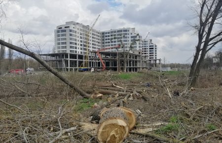 В Хмельницком для нового сквера спилили 24 дерева, которые росли там полвека