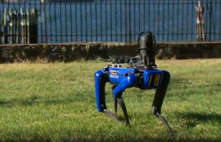 Поліція Нью-Йорка відмовилася від використання роботів-собак Digidog