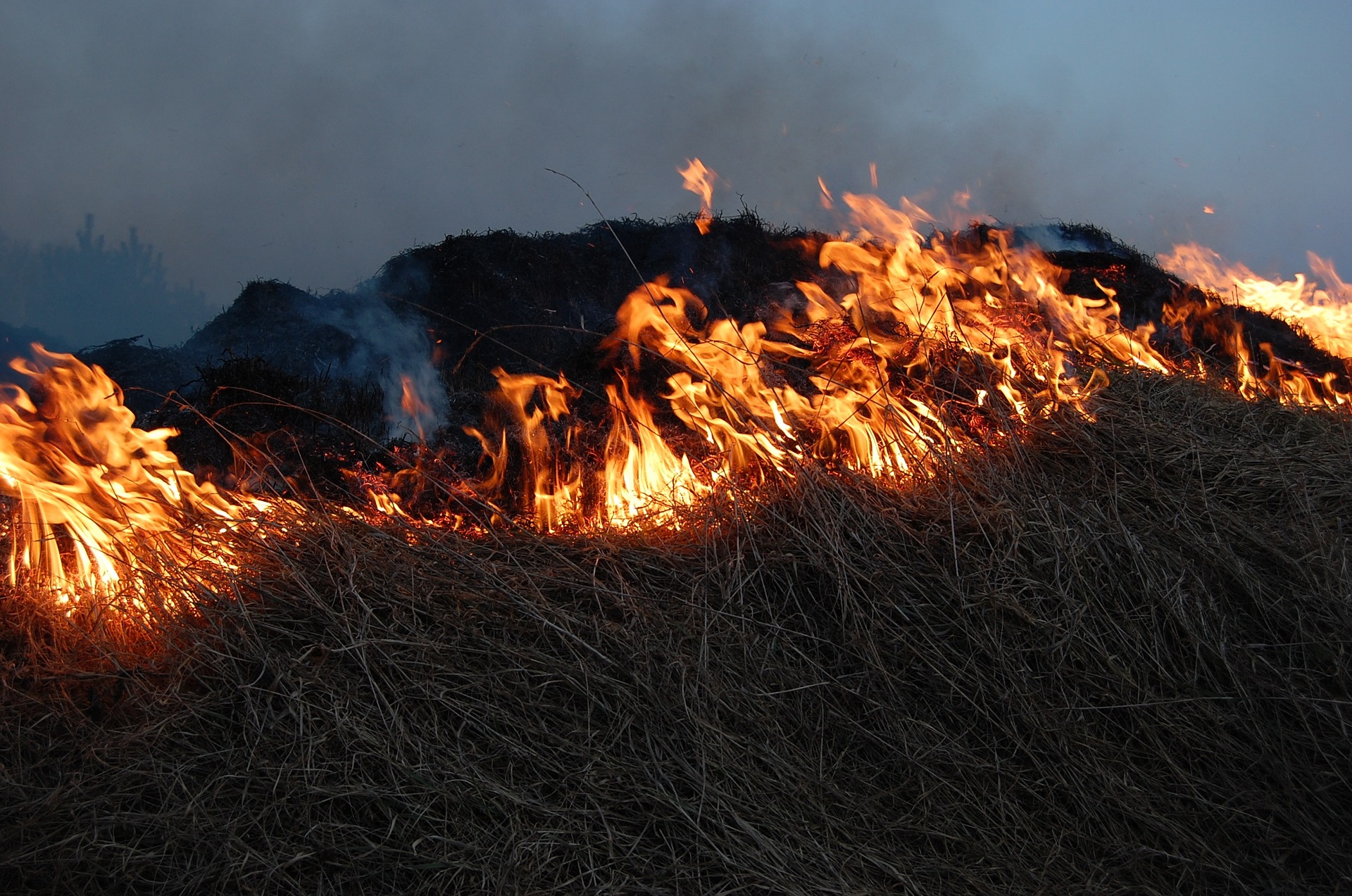 На Луганщині знову горить сухостій, кажуть про підпали трави (відео)