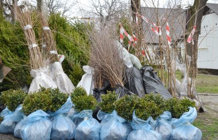Волонтер из Черкасс передал четыреста молодых деревьев и кустов прифронтовой Авдеевке